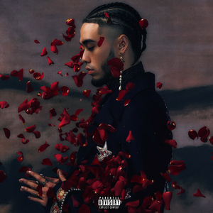 日本美女大屁股肥肥逼操的爽歪歪
