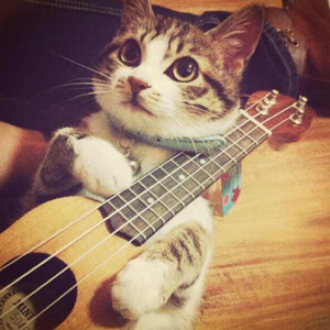 国模特冰冰白灵最好看
