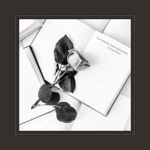 日本美女大屁股肥肥逼操的爽歪歪
